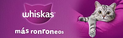 Whiskas - Whiskas Whiskas alimento para Gatos Adultos Sabor Carne Receta Orginal 9Kg Violeta