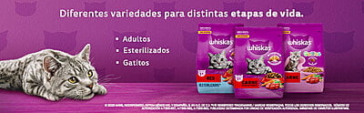 Whiskas - Whiskas Whiskas alimento para Gatos Adultos Sabor Carne Receta Orginal 9Kg Violeta