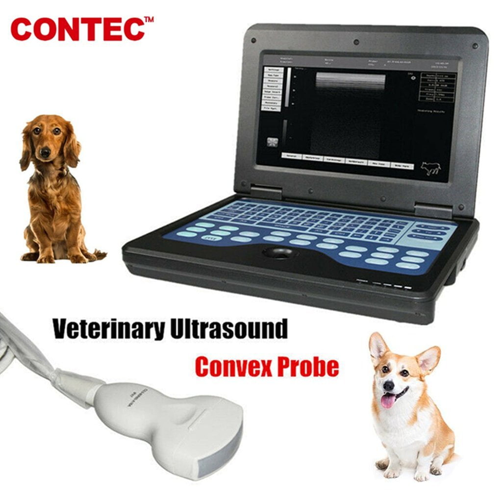 us portátil veterinario B-escáner de ultrasonido animales pequeños sonda convexa de 3,5 mhz + bolsa