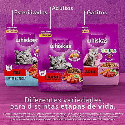 Whiskas - Whiskas Whiskas alimento para Gatos Adultos Sabor Carne Receta Orginal 9Kg Violeta