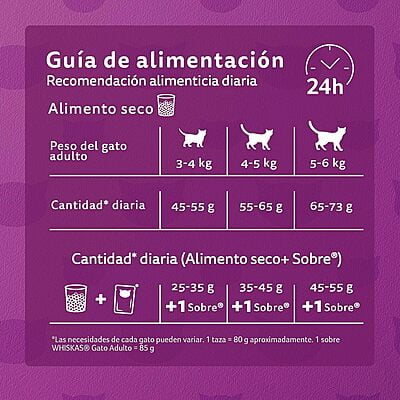 Whiskas - Whiskas Whiskas alimento para Gatos Adultos Sabor Carne Receta Orginal 9Kg Violeta