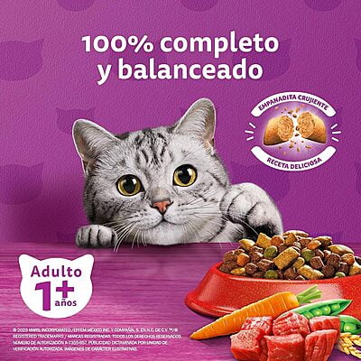 Whiskas - Whiskas Whiskas alimento para Gatos Adultos Sabor Carne Receta Orginal 9Kg Violeta