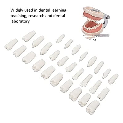 28 Piezas de Dientes Extraíbles