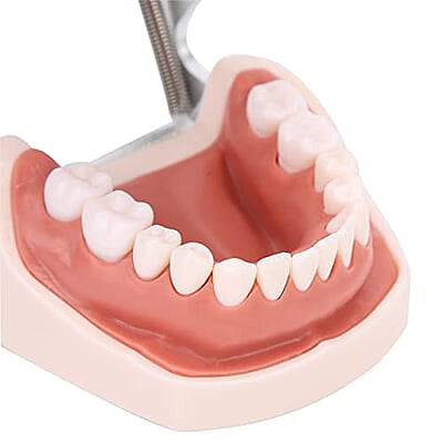 28 Piezas de Dientes Extraíbles