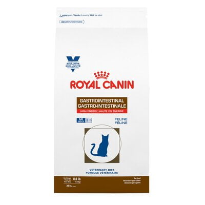 alimento para gato royal canin