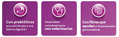 Whiskas - Whiskas Whiskas alimento para Gatos Adultos Sabor Carne Receta Orginal 9Kg Violeta