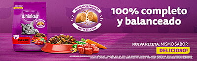 Whiskas - Whiskas Whiskas alimento para Gatos Adultos Sabor Carne Receta Orginal 9Kg Violeta