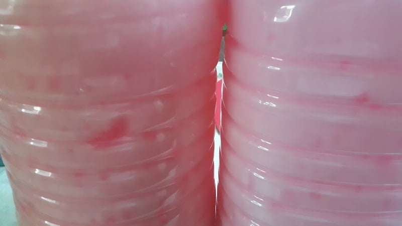 benzolate-gel 10 l benzolate-gel 10 l