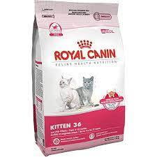 Royal Canin Croquetas para Gatos, Kitten, 3.17 kg (El empaque puede variar)