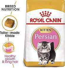 Royal Canin Alimento seco para gatos adultos para gatitos persas de raza felina, 3 libras