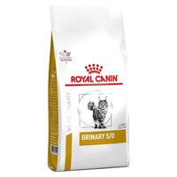 alimento para gato royal canin