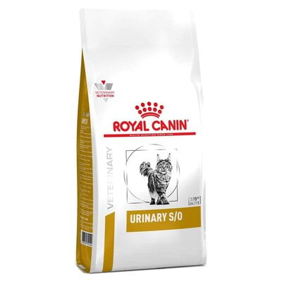 alimento para gato royal canin