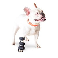 Ferula Pata Delantera Para Perro Walkin’ Front Splint de Handicapped Pets